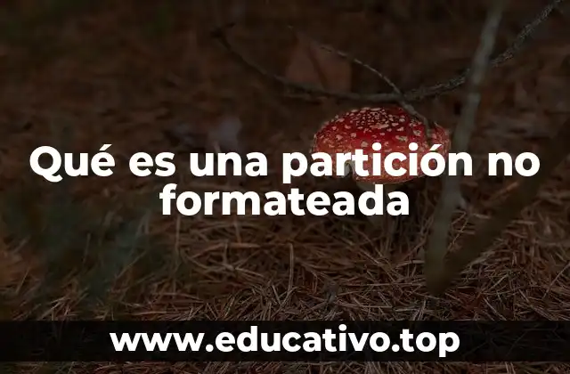 Qué es una partición no formateada