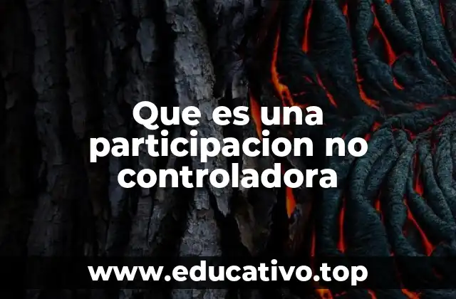 Que es una participacion no controladora