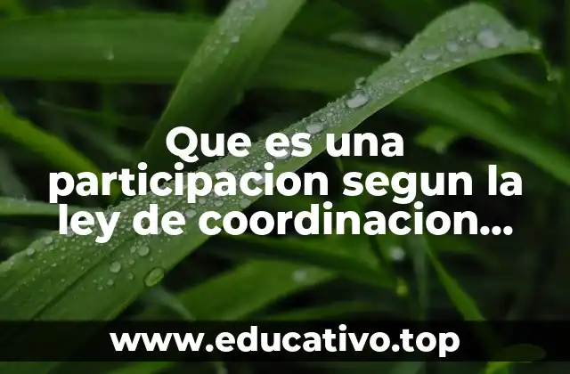 Que es una participacion segun la ley de coordinacion fiscal