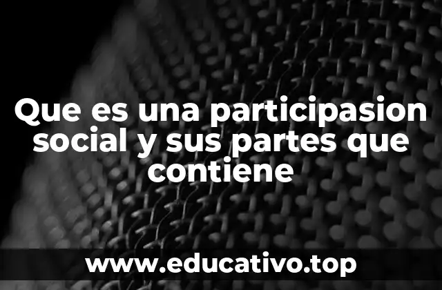 Que es una participasion social y sus partes que contiene