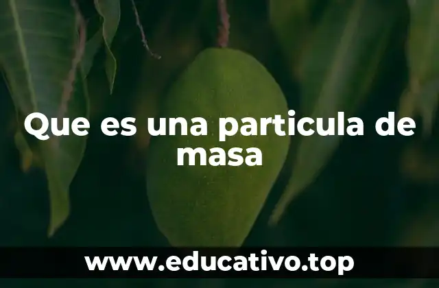 Que es una particula de masa