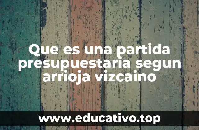 Que es una partida presupuestaria segun arrioja vizcaino