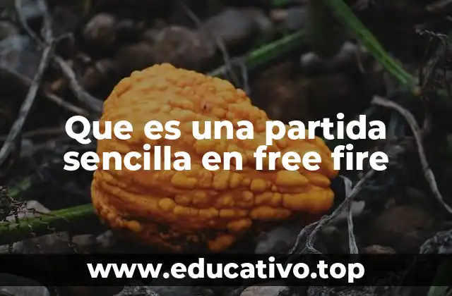 Que es una partida sencilla en free fire