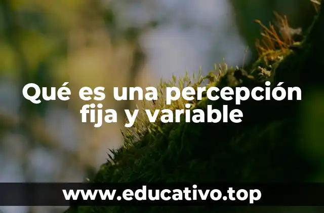 Qué es una percepción fija y variable