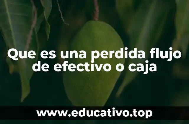 Que es una perdida flujo de efectivo o caja