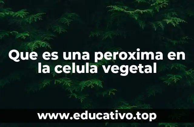 Que es una peroxima en la celula vegetal
