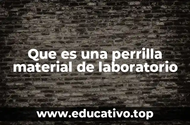Que es una perrilla material de laboratorio