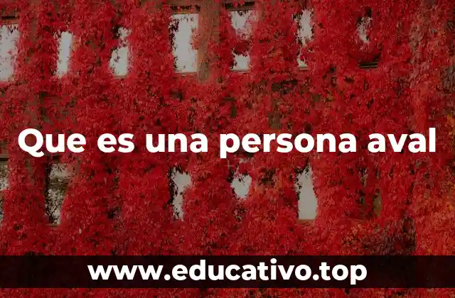Que es una persona aval
