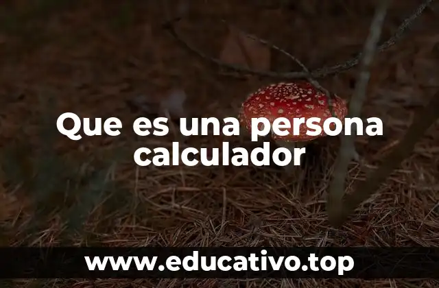 Que es una persona calculador