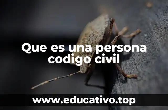 Que es una persona codigo civil