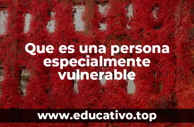 Que es una persona especialmente vulnerable