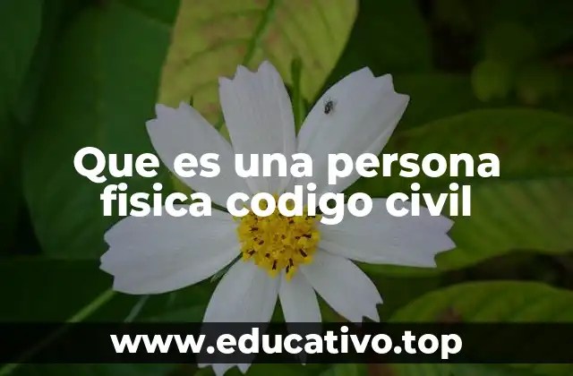 Que es una persona fisica codigo civil