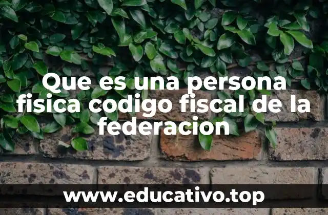 Que es una persona fisica codigo fiscal de la federacion