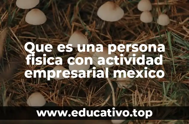 Que es una persona fisica con actividad empresarial mexico