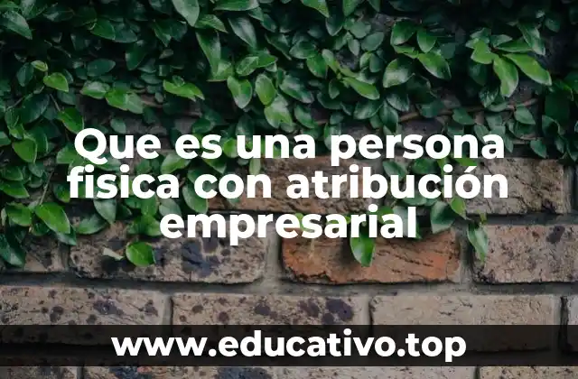 Cómo funciona el régimen de persona física con atribución empresarial