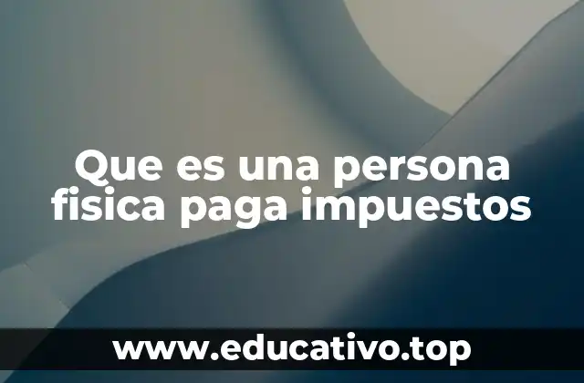 Que es una persona fisica paga impuestos