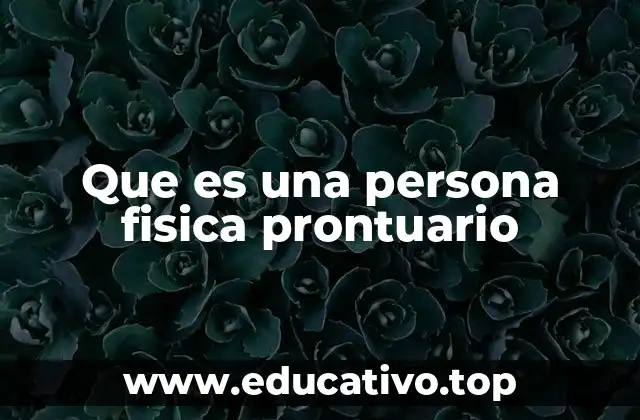 Que es una persona fisica prontuario