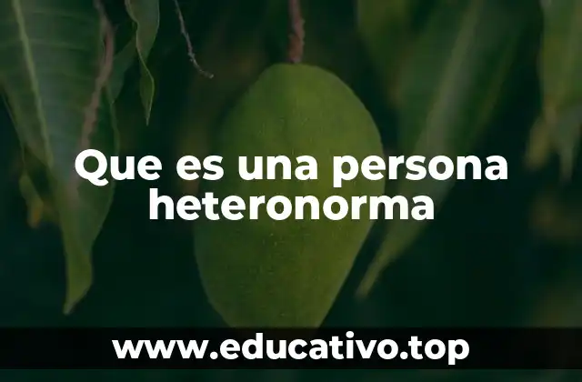 Que es una persona heteronorma