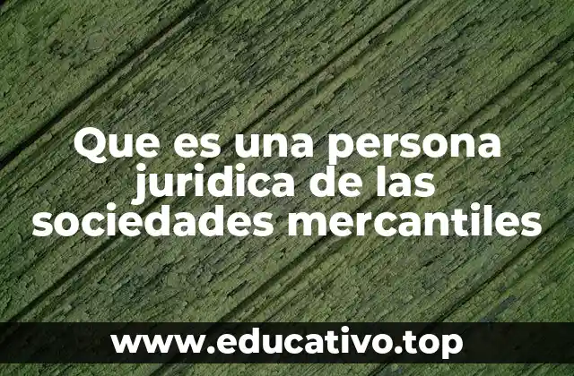 Que es una persona juridica de las sociedades mercantiles