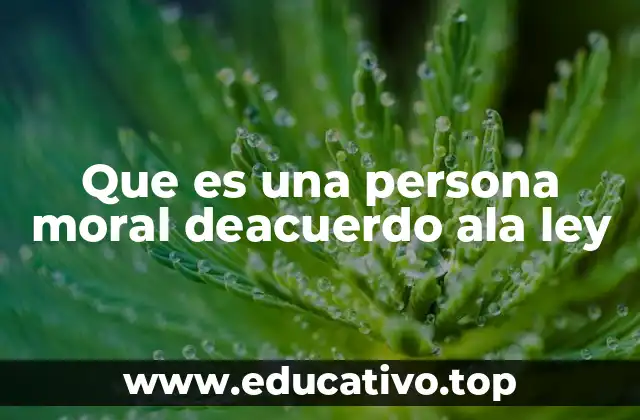 Que es una persona moral deacuerdo ala ley