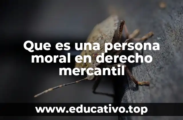Que es una persona moral en derecho mercantil