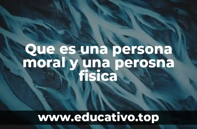 Diferencias clave entre ambas categorías