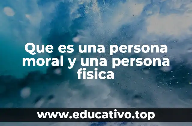 Que es una persona moral y una persona fisica