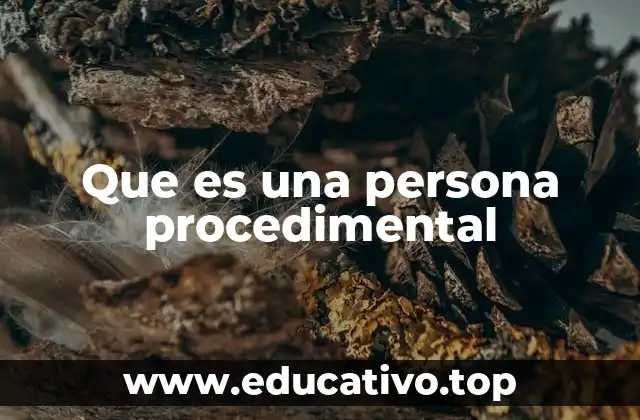 Que es una persona procedimental
