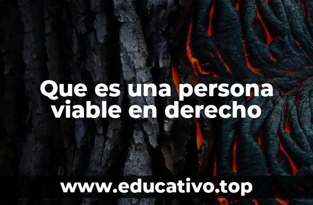 Que es una persona viable en derecho