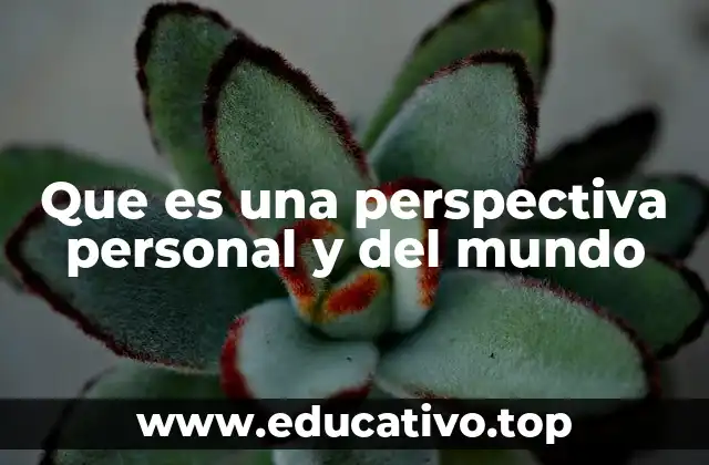 Que es una perspectiva personal y del mundo