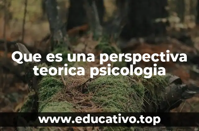 Que es una perspectiva teorica psicologia