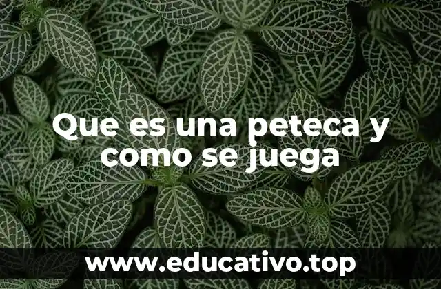 Que es una peteca y como se juega
