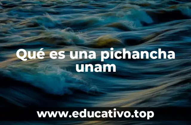 La pichancha como forma de expresión cultural en la UNAM