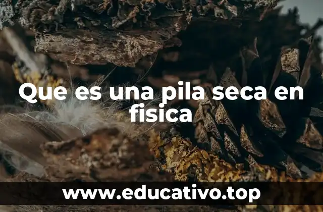 Que es una pila seca en fisica