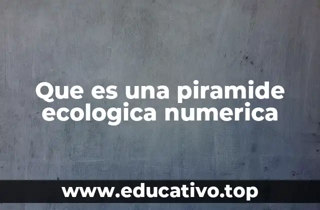 Que es una piramide ecologica numerica
