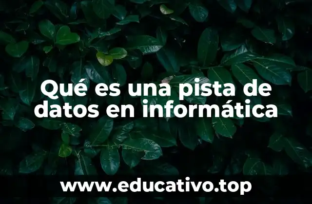 Qué es una pista de datos en informática