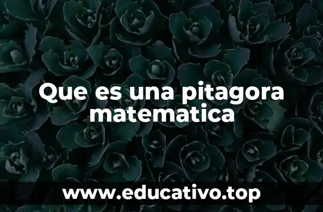 Que es una pitagora matematica