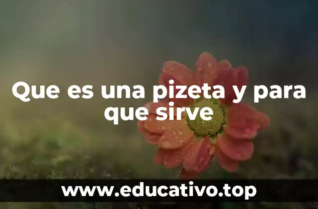 Que es una pizeta y para que sirve