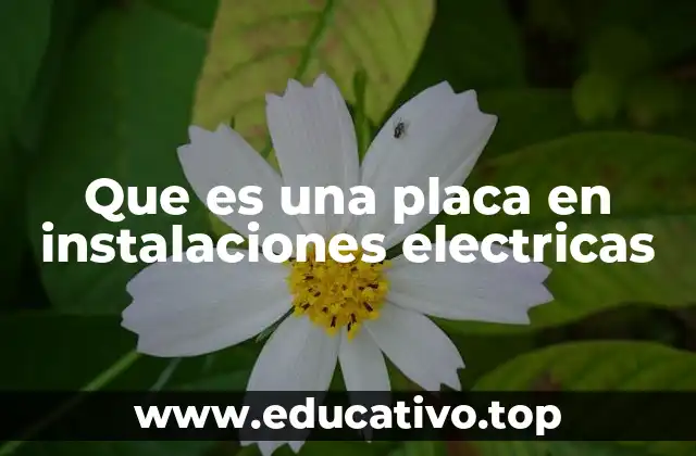 Que es una placa en instalaciones electricas