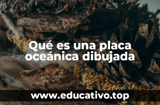 Qué es una placa oceánica dibujada