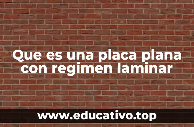 Que es una placa plana con regimen laminar