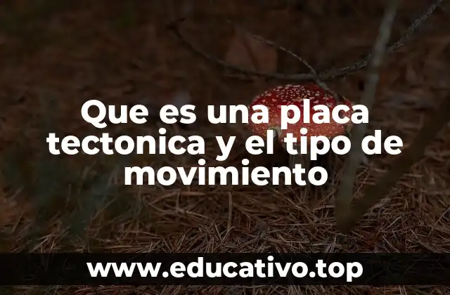 Que es una placa tectonica y el tipo de movimiento
