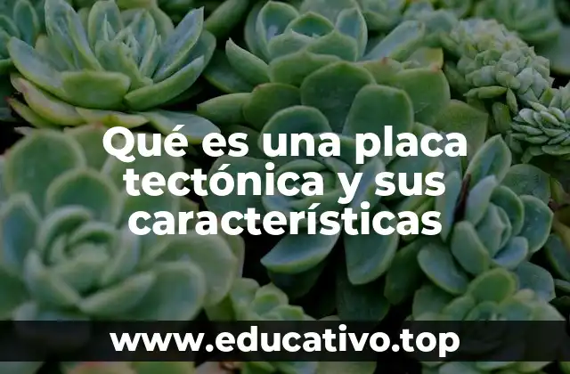 Qué es una placa tectónica y sus características