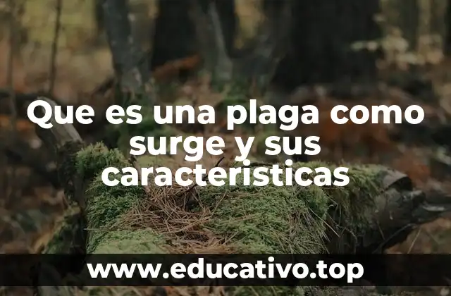 Que es una plaga como surge y sus caracteristicas