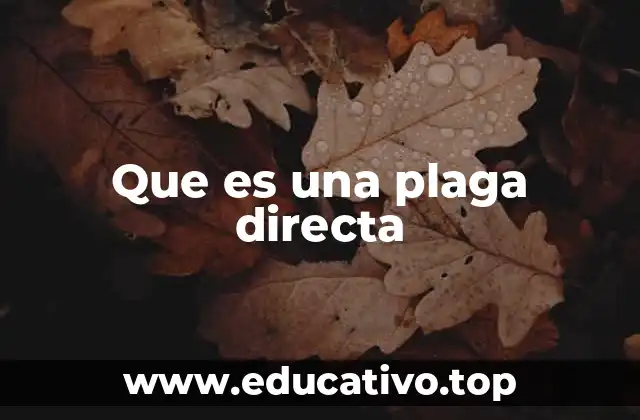 Que es una plaga directa