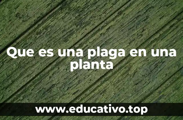 Que es una plaga en una planta