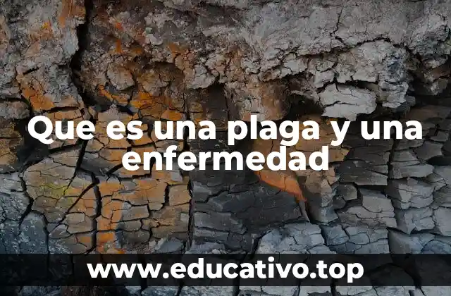 Que es una plaga y una enfermedad
