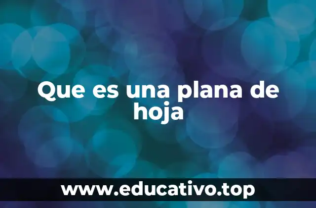 Que es una plana de hoja