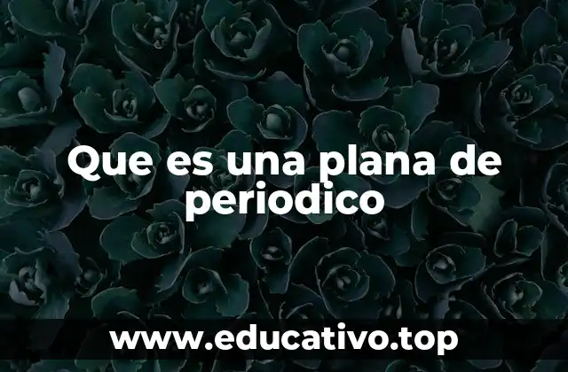 Que es una plana de periodico