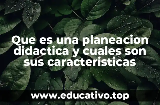 Que es una planeacion didactica y cuales son sus caracteristicas